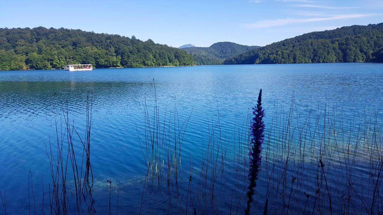 פליטויקה סלו B&B Plitvice Lakes Villa Prica מראה חיצוני תמונה