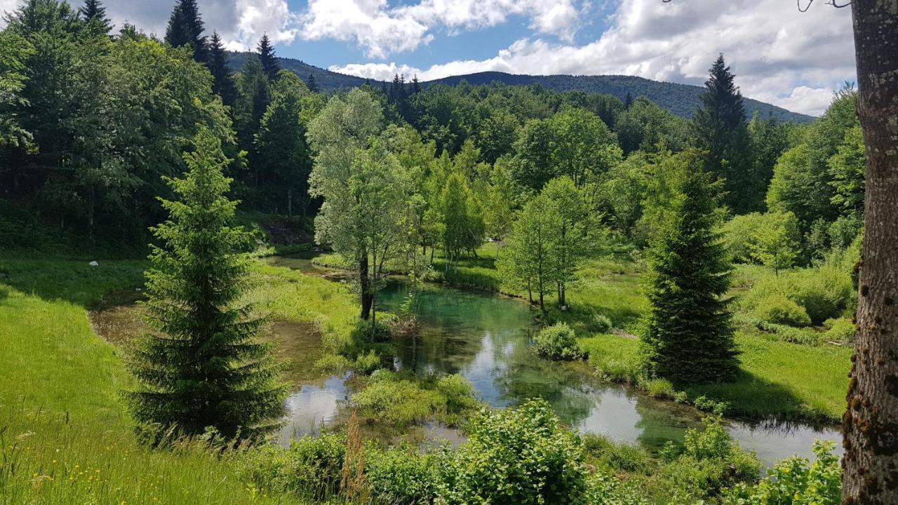 פליטויקה סלו B&B Plitvice Lakes Villa Prica מראה חיצוני תמונה