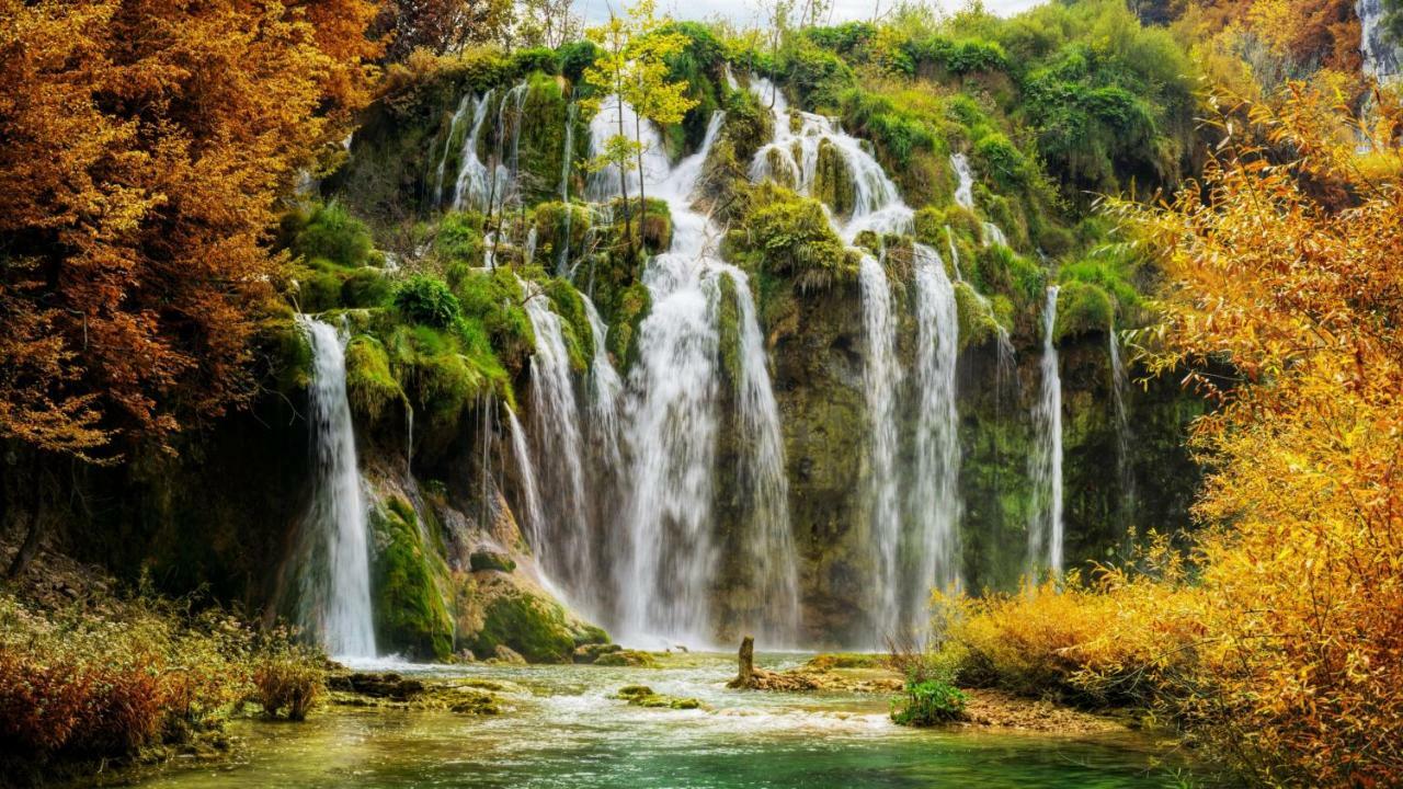 פליטויקה סלו B&B Plitvice Lakes Villa Prica מראה חיצוני תמונה